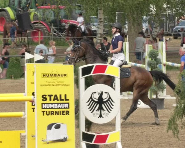 Springturnier und Reiterfest Königsbach 2021