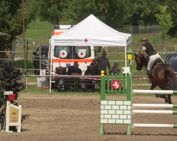Springturnier und Reiterfest Königsbach 2021