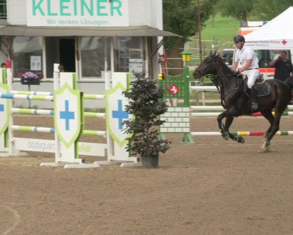 Springturnier und Reiterfest Königsbach 2021