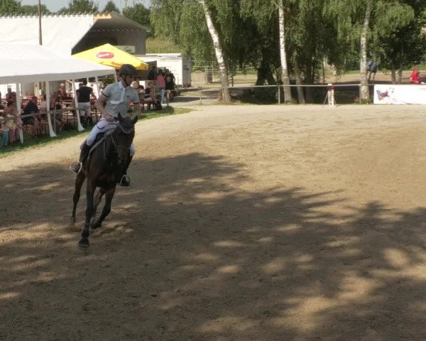 Springturnier und Reiterfest Königsbach 2021