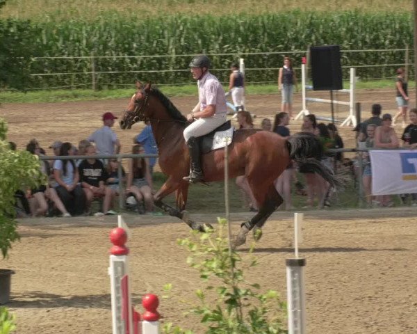 Springturnier und Reiterfest Königsbach 2021