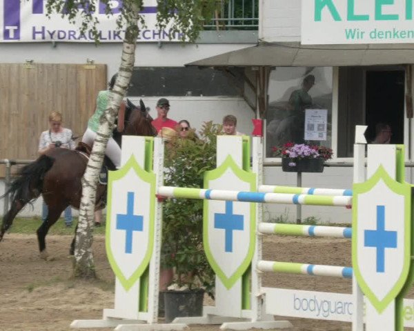 Springturnier und Reiterfest Königsbach 2021