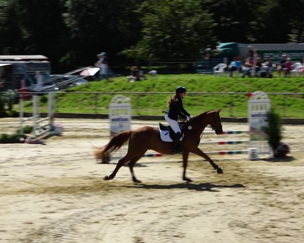 Reitturnier Kirchhoven-Vinn 2021