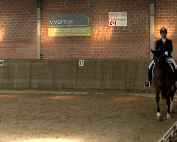 Reitturnier Kirchhoven-Vinn 2021