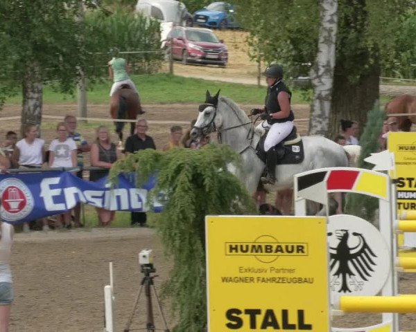 Springturnier und Reiterfest Königsbach 2021