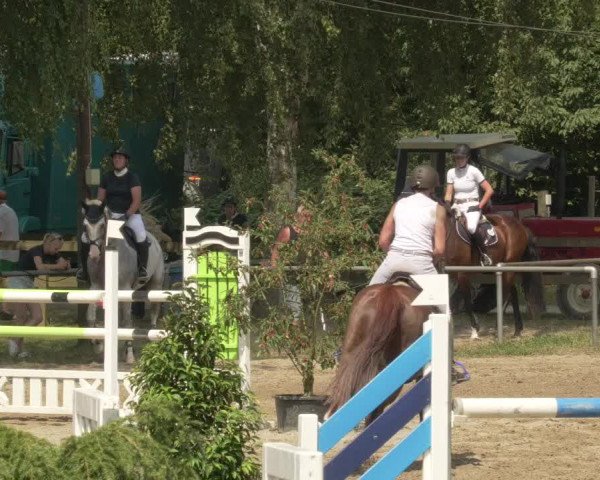 Springturnier und Reiterfest Königsbach 2021