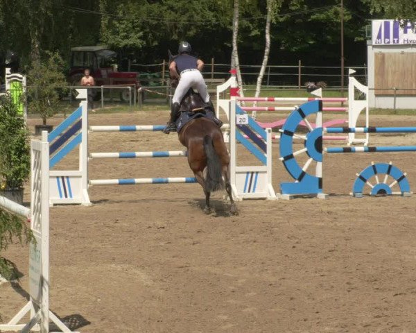 Springturnier und Reiterfest Königsbach 2021
