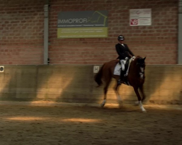 Reitturnier Kirchhoven-Vinn 2021