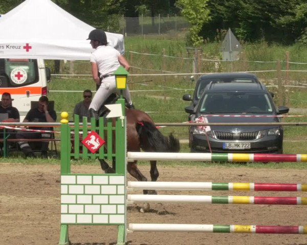 Springturnier und Reiterfest Königsbach 2021