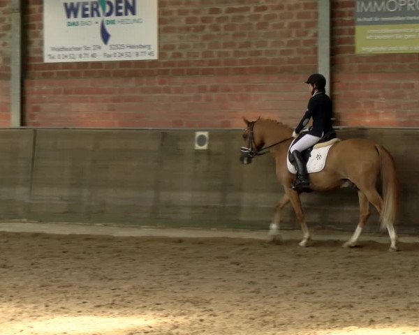 Reitturnier Kirchhoven-Vinn 2021