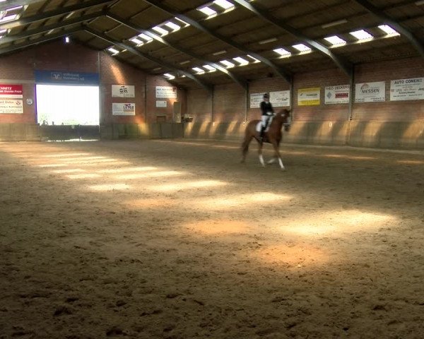 Reitturnier Kirchhoven-Vinn 2021