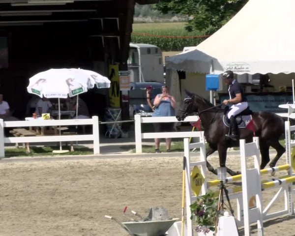 Pferdesporttage Rafzerfeld - Hüntwangen 2021