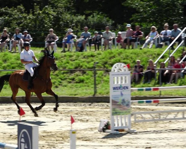 Reitturnier Kirchhoven-Vinn 2021
