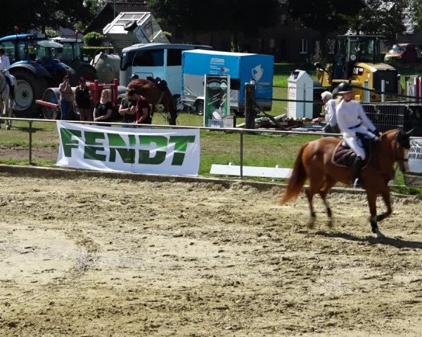 Reitturnier Kirchhoven-Vinn 2021