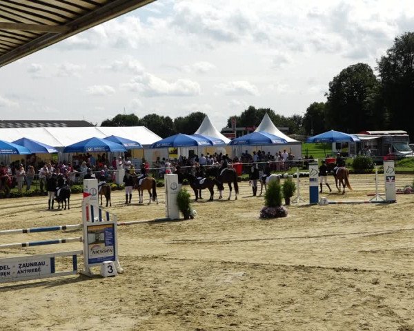 Reitturnier Kirchhoven-Vinn 2021
