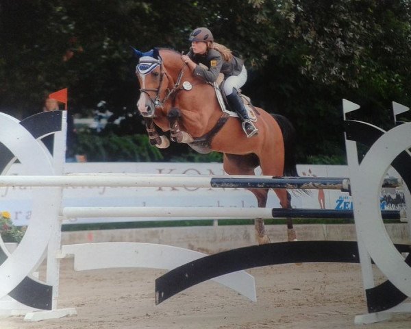 broodmare Castana 4 (Holsteiner, 1998, from Candillo Z)