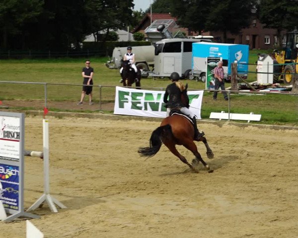 Reitturnier Kirchhoven-Vinn 2021