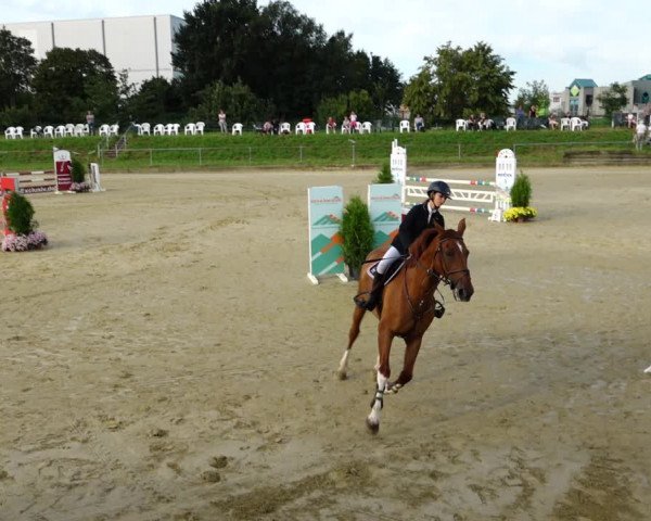 Reitturnier Kirchhoven-Vinn 2021