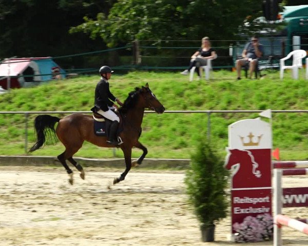 Reitturnier Kirchhoven-Vinn 2021