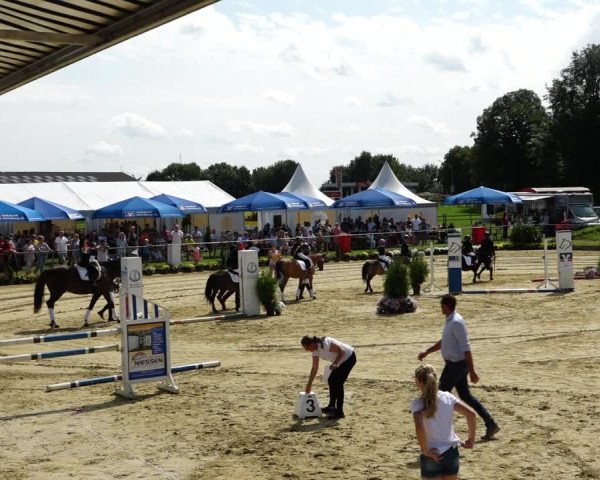 Reitturnier Kirchhoven-Vinn 2021