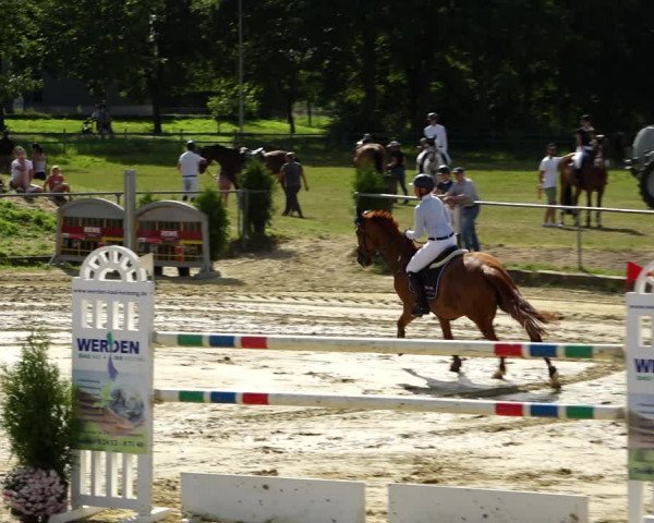Reitturnier Kirchhoven-Vinn 2021