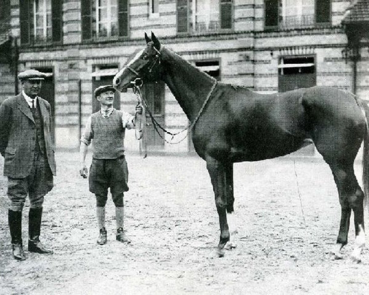 broodmare Corrida xx (Thoroughbred, 1932, from Coronach xx)