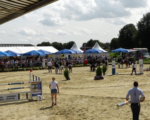 Reitturnier Kirchhoven-Vinn 2021