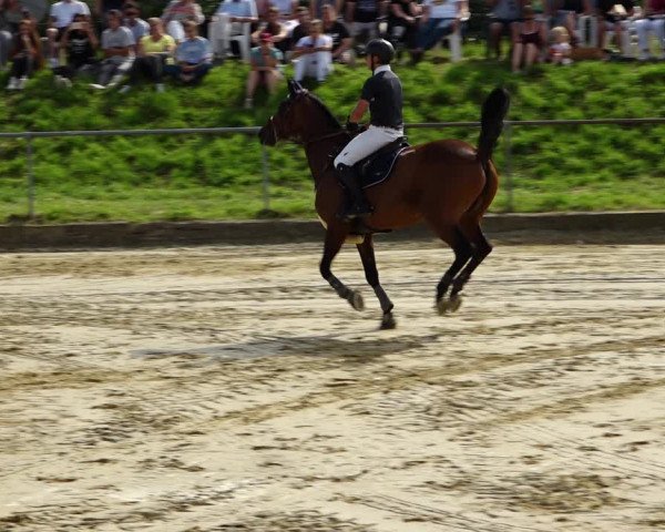 Reitturnier Kirchhoven-Vinn 2021