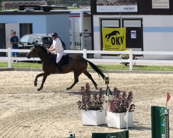 Pferdesporttage Rafzerfeld - Hüntwangen 2021