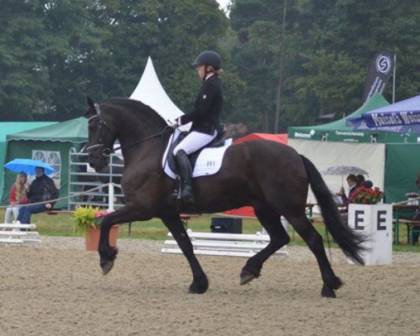 dressage horse Peeke vom Lohorst (Friese, 2005, from Mintse 384)