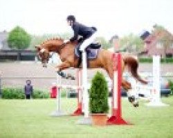 jumper Bijou de Grand Coeur (Oldenburg, 2006, from Balou du Rouet)
