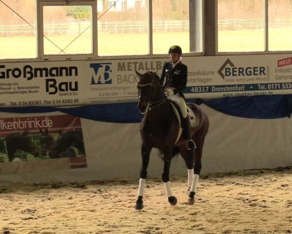Hengstschau Holkenbrink 2018