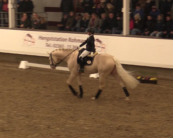 Hengstschau Rohmann 2018