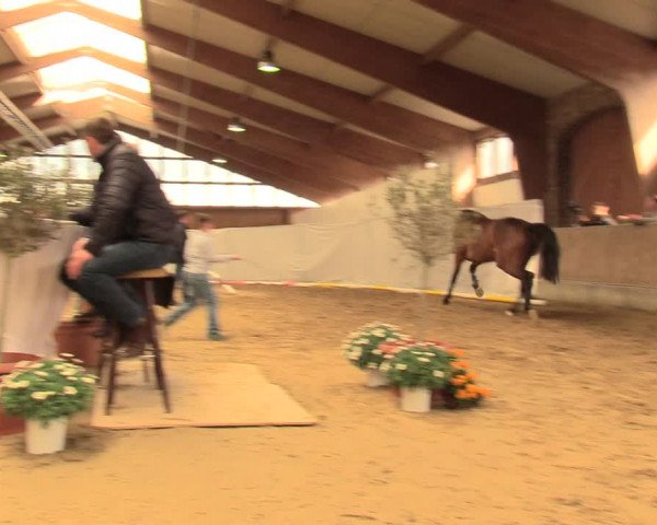 5. NRW Freispringchampionat - Finale 2018