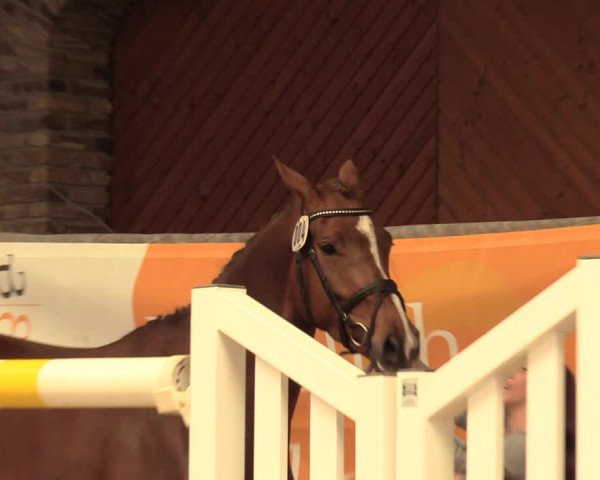 5. NRW Freispringchampionat - Finale 2018