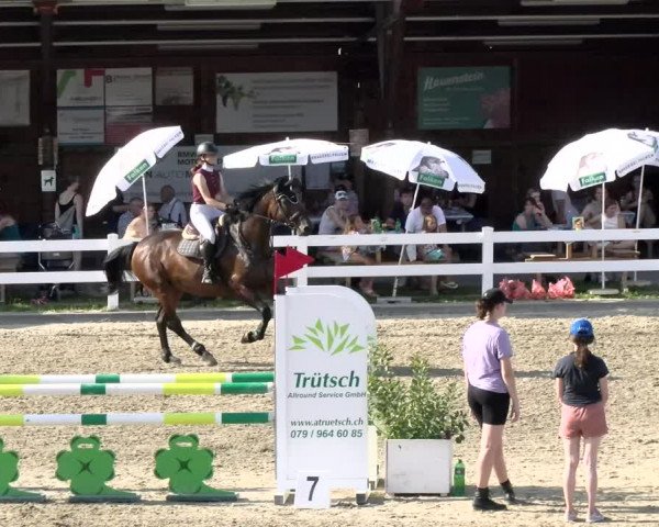 Pferdesporttage Rafzerfeld - Hüntwangen 2021