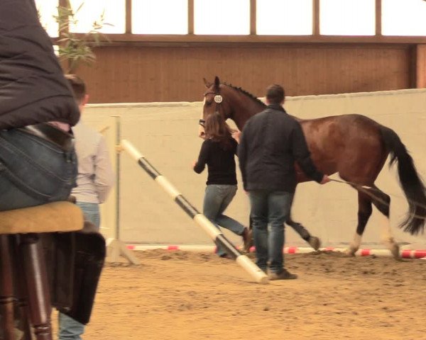 5. NRW Freispringchampionat - Finale 2018