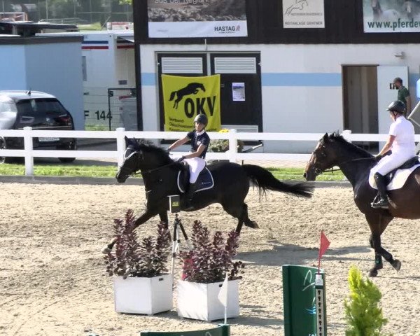 Pferdesporttage Rafzerfeld - Hüntwangen 2021