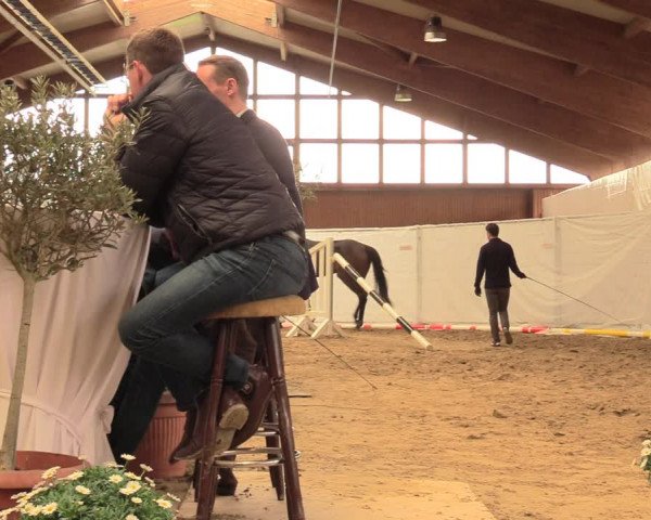 5. NRW Freispringchampionat - Finale 2018