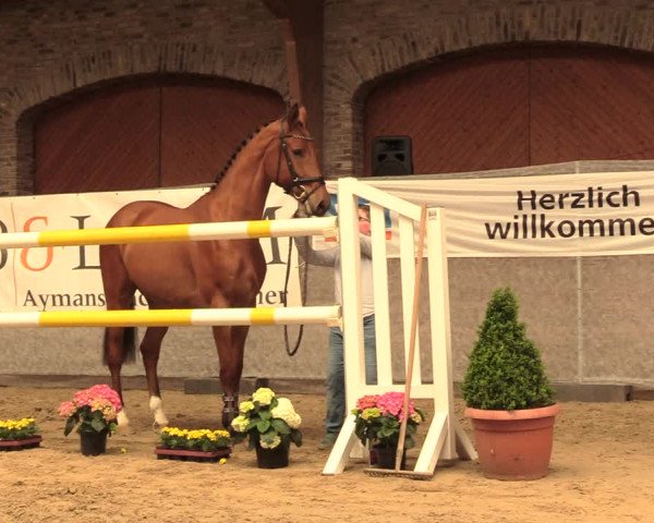 5. NRW Freispringchampionat - Finale 2018