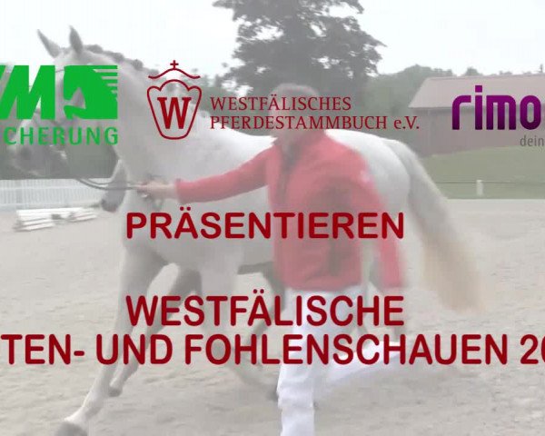 Stuten- und Fohlenschau Espelkamp 2018