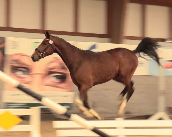 5. NRW Freispringchampionat - Finale 2018