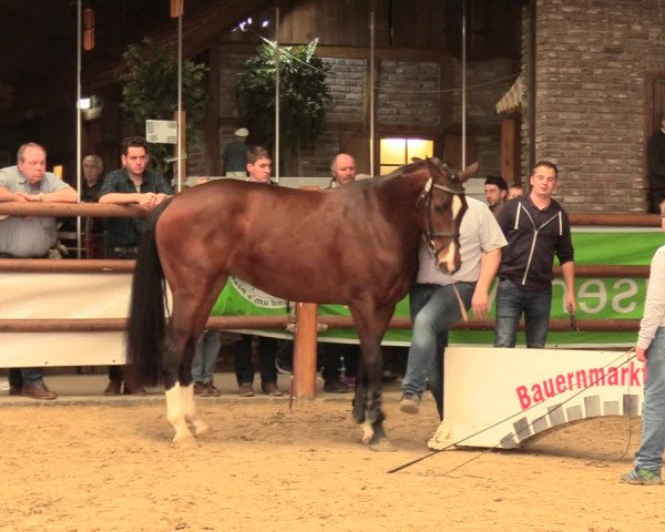 5. NRW Freispringchampionat - Finale 2018