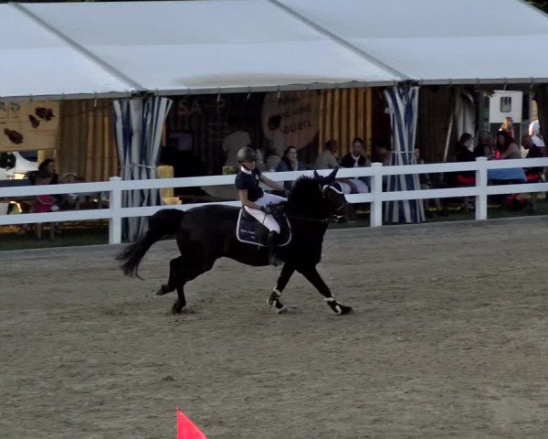Pferdesporttage Rafzerfeld - Hüntwangen 2021