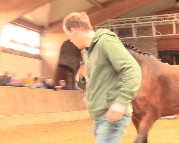 5. NRW Freispringchampionat - Finale 2018