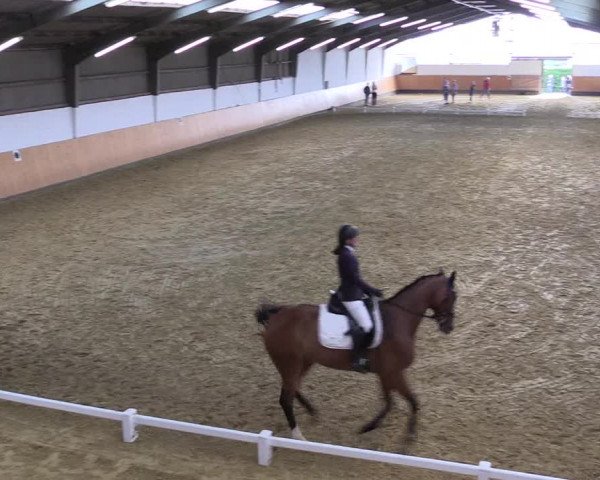 Reitturnier Datteln 2021