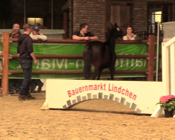 5. NRW Freispringchampionat - Finale 2018