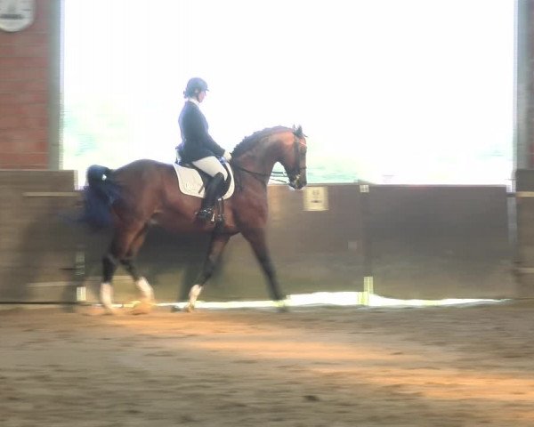 Reitturnier Kirchhoven-Vinn 2021