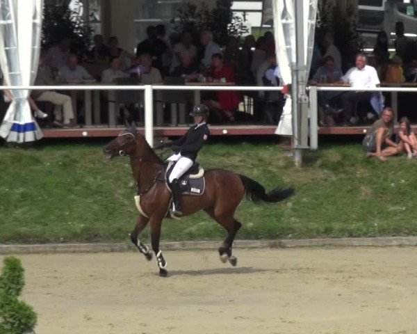 Bergisch Classics - Bergisch Gladbach - Springen 2021