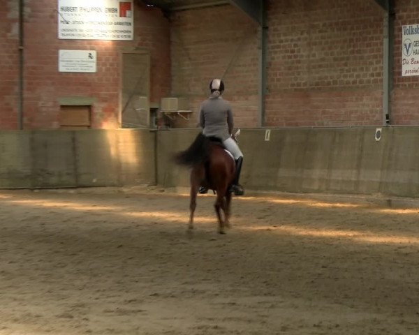 Reitturnier Kirchhoven-Vinn 2021